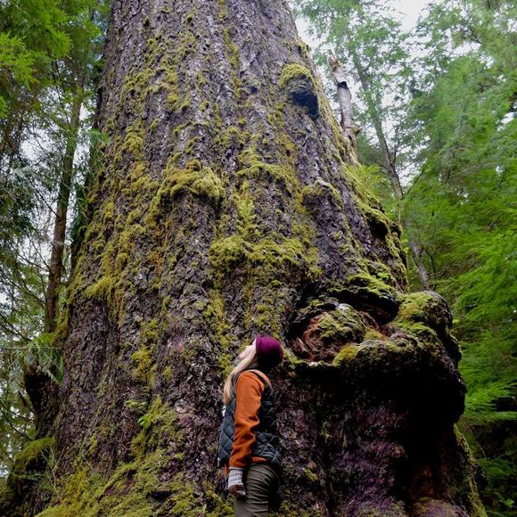 Meet your Posher, Megan - Picture 1 of 1